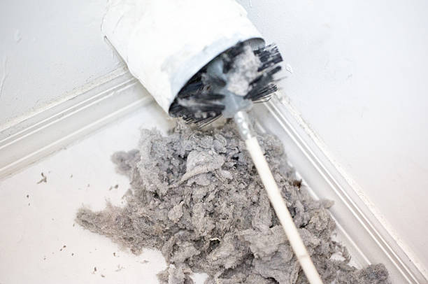 Complete Dryer Vent Cleaning (3)